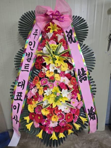 업로드 이미지