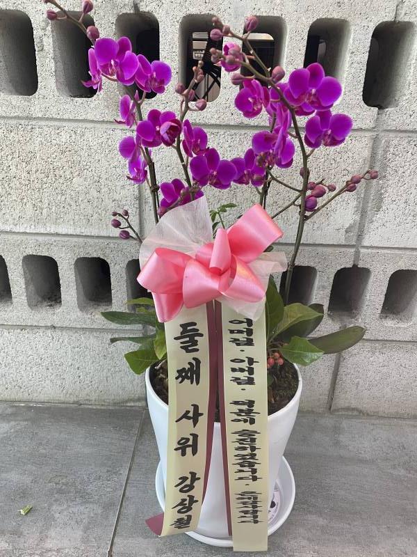 업로드 이미지