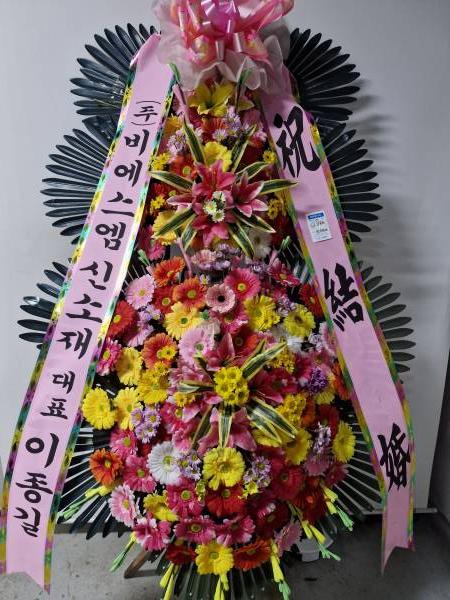 업로드 이미지