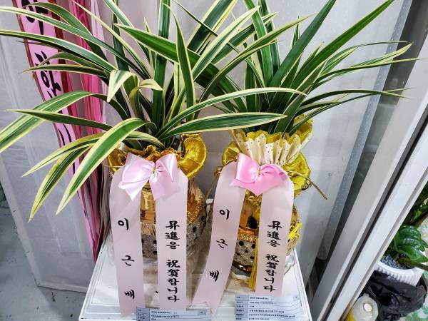 업로드 이미지