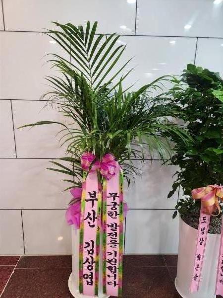 업로드 이미지