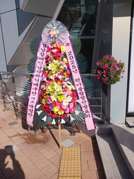 업로드 이미지