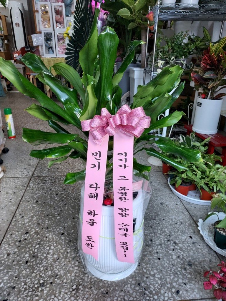업로드 이미지