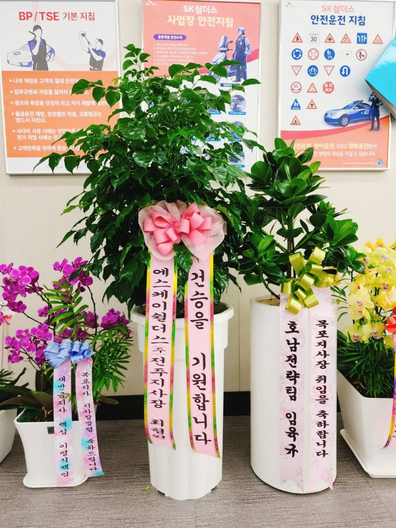 업로드 이미지