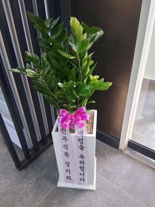 업로드 이미지