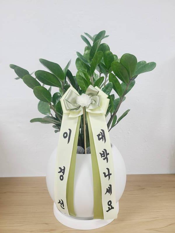 업로드 이미지