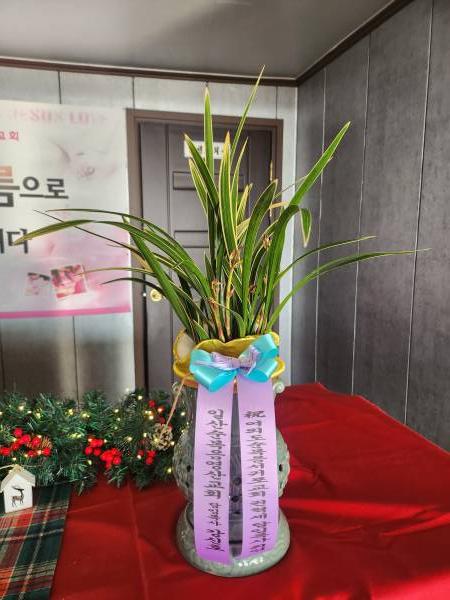 업로드 이미지