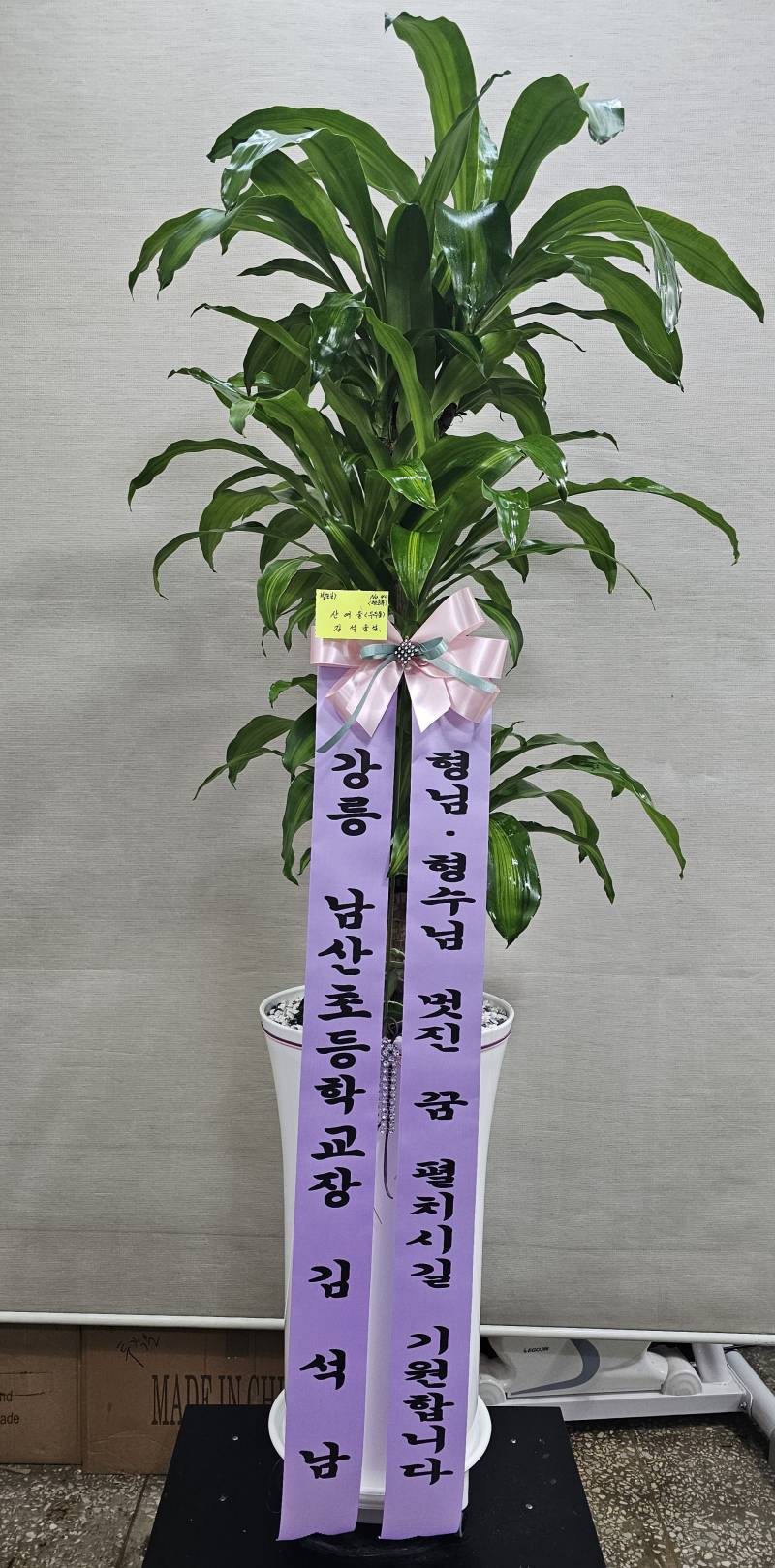 업로드 이미지
