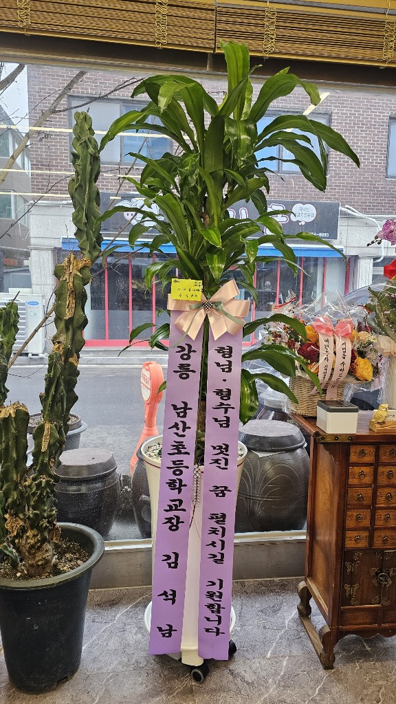업로드 이미지