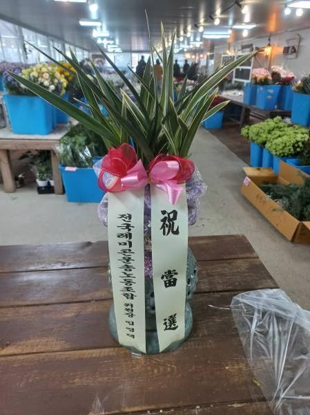 업로드 이미지