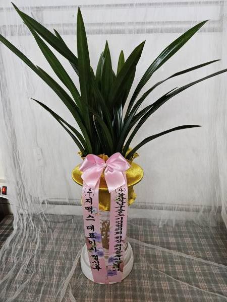 업로드 이미지