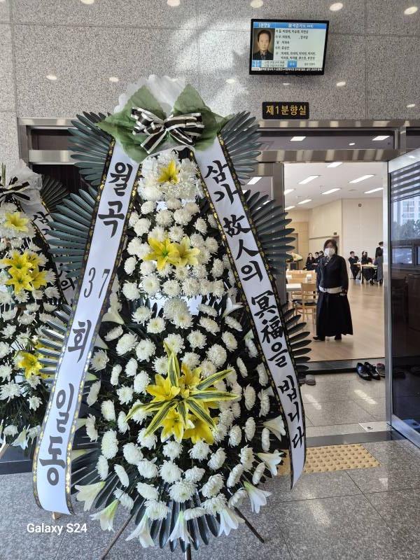 업로드 이미지