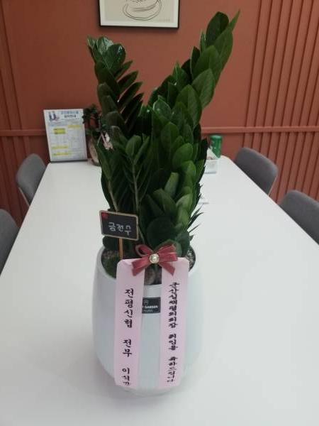 업로드 이미지