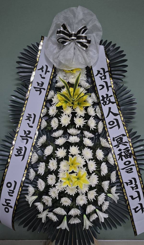 업로드 이미지