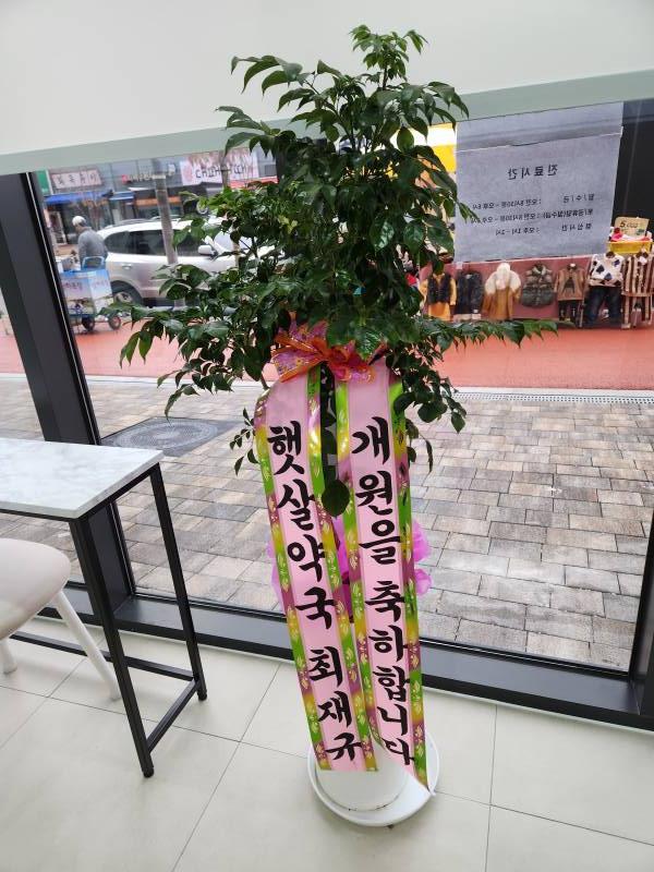 업로드 이미지