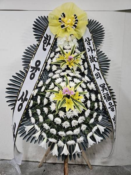업로드 이미지