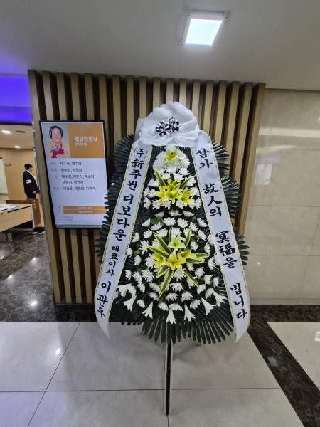 업로드 이미지