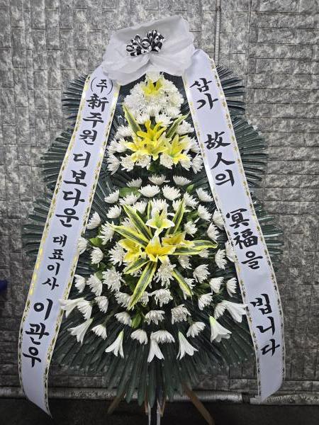 업로드 이미지