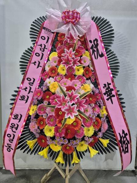 업로드 이미지