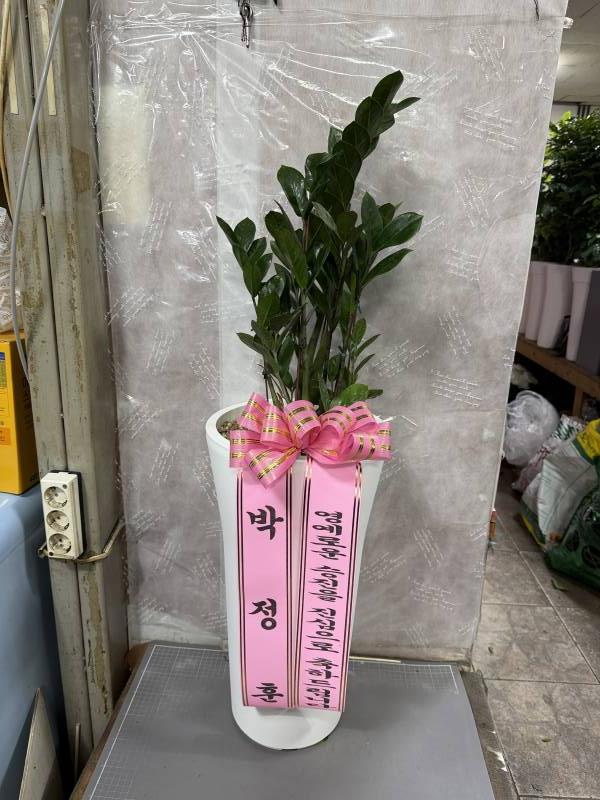 업로드 이미지
