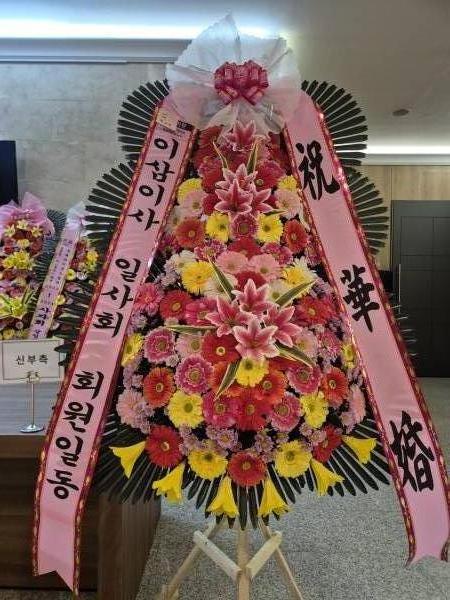 업로드 이미지