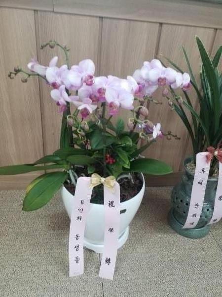업로드 이미지