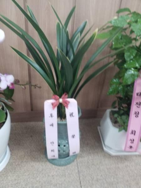 업로드 이미지