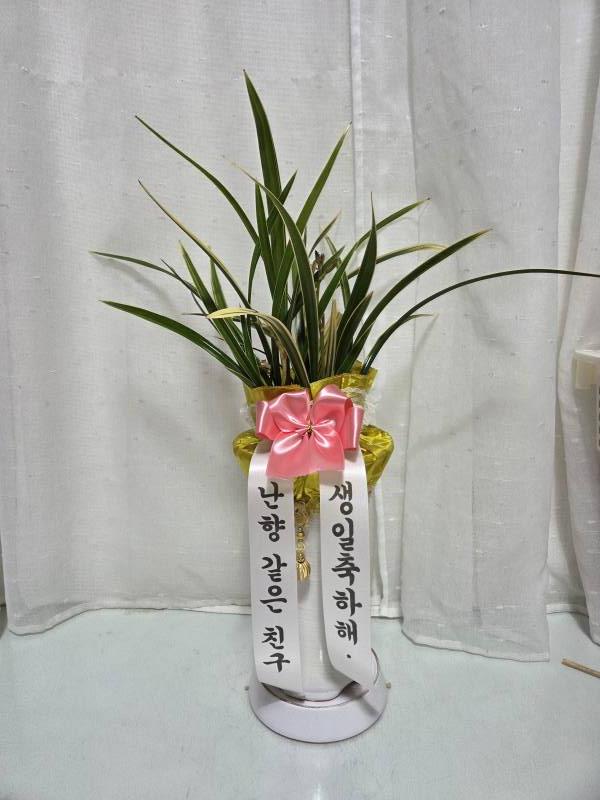 업로드 이미지