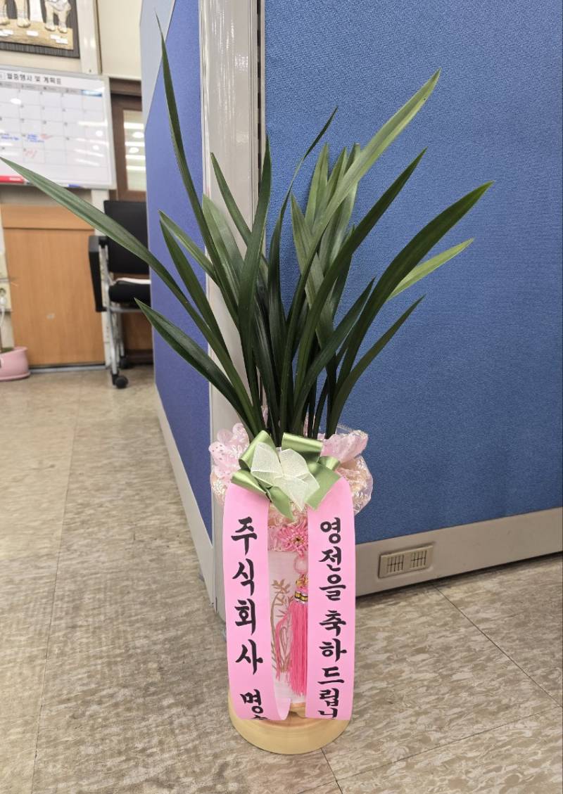업로드 이미지