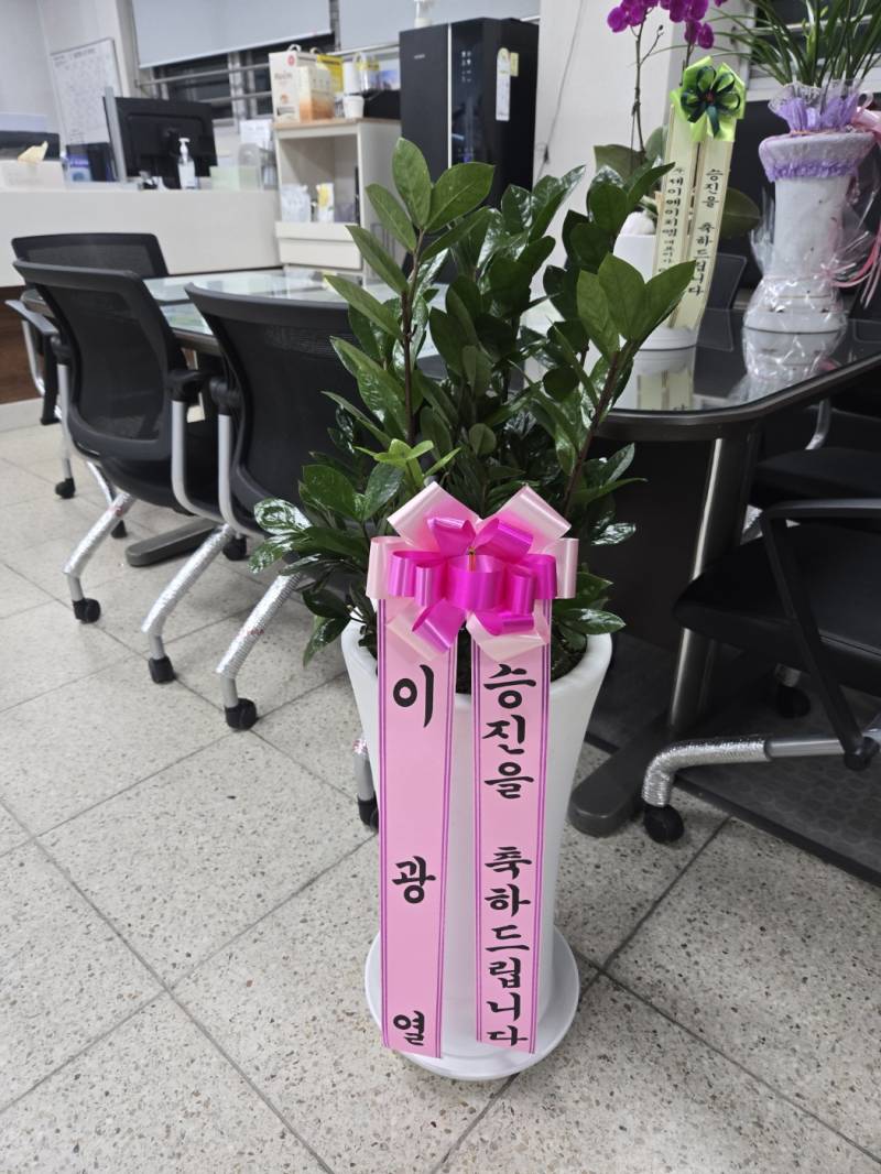 업로드 이미지