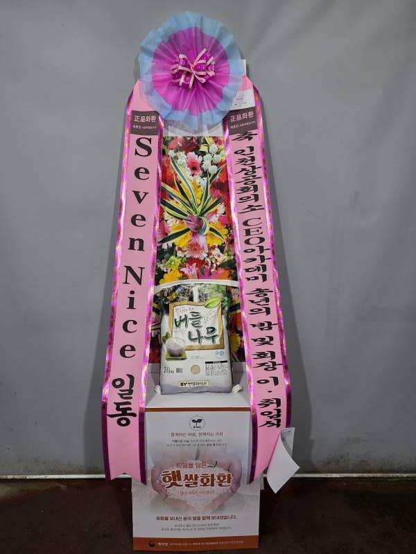 업로드 이미지