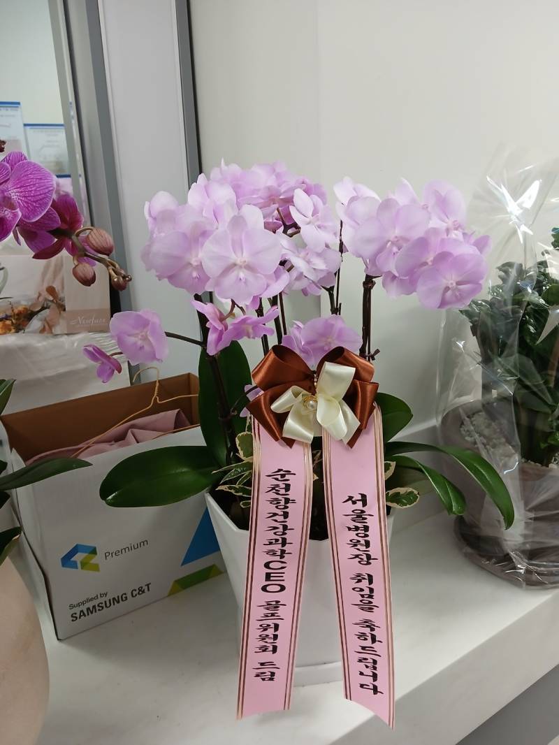 업로드 이미지