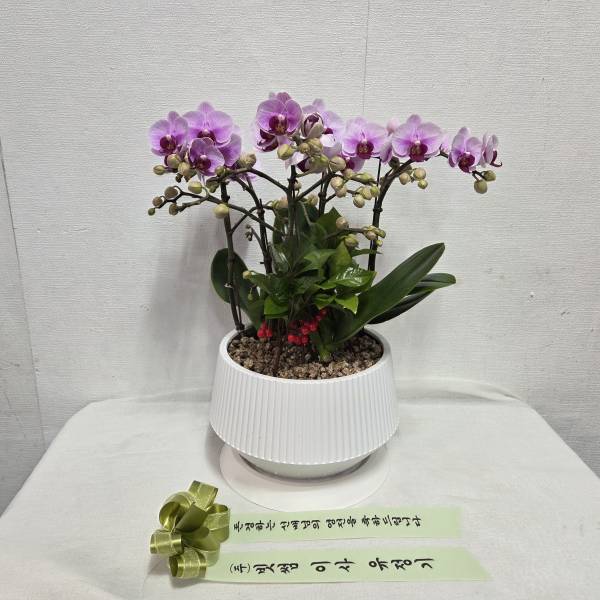 업로드 이미지