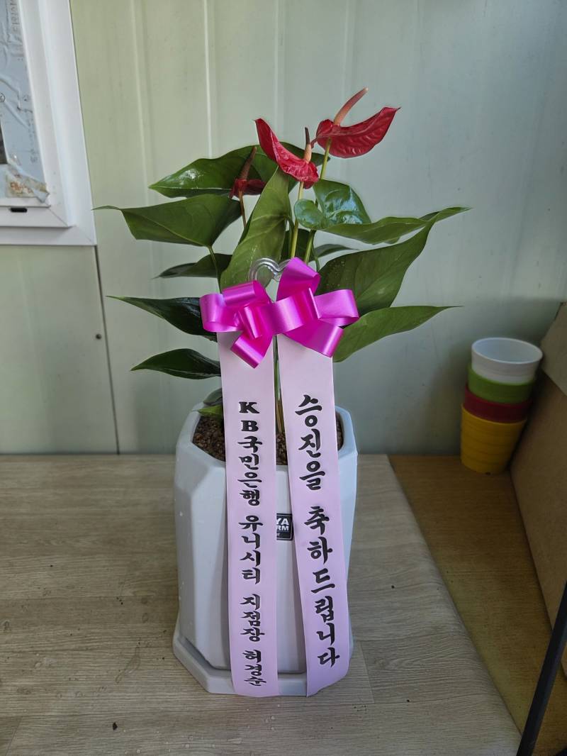업로드 이미지