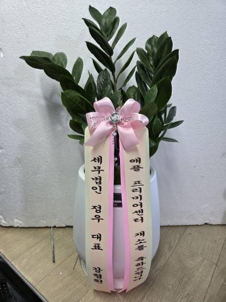 업로드 이미지
