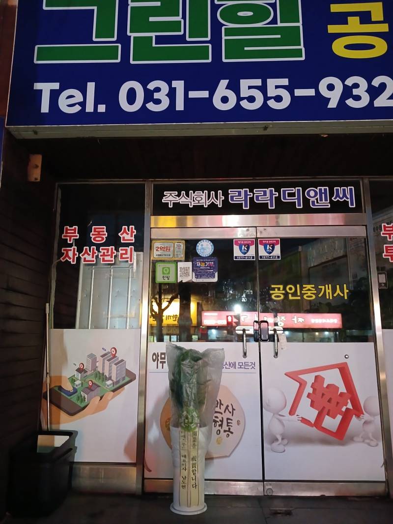 업로드 이미지