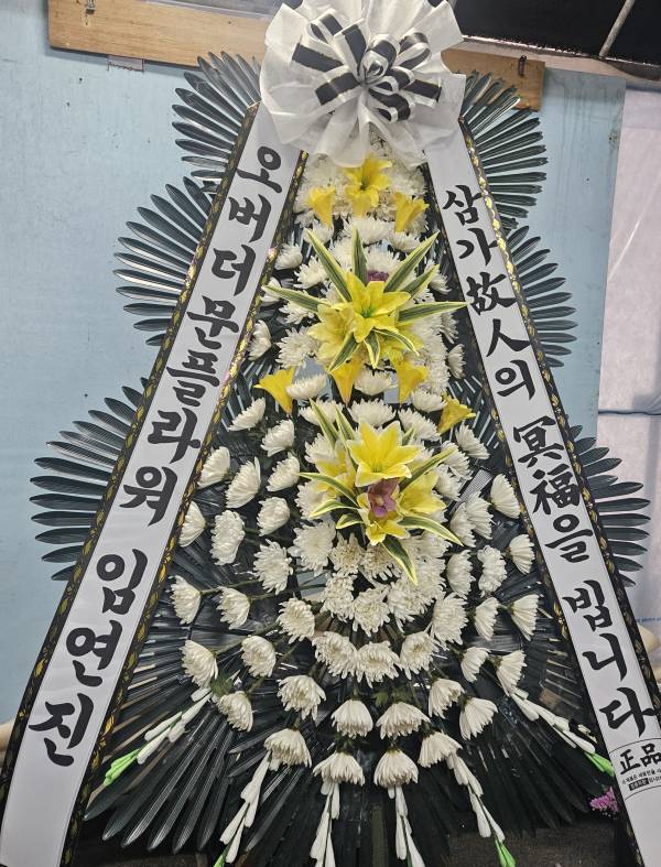 업로드 이미지