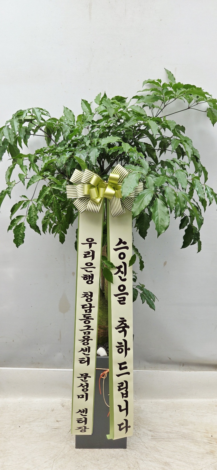 업로드 이미지