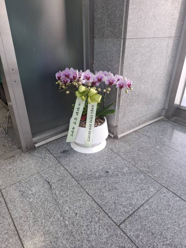 업로드 이미지