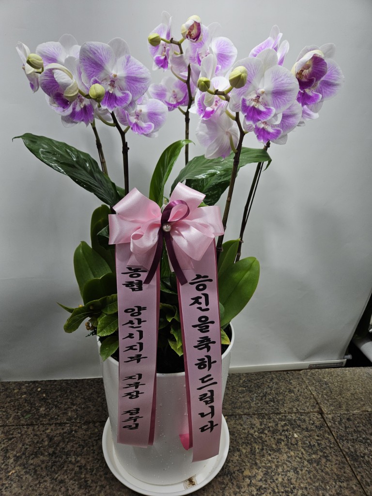 업로드 이미지