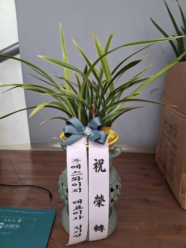 업로드 이미지