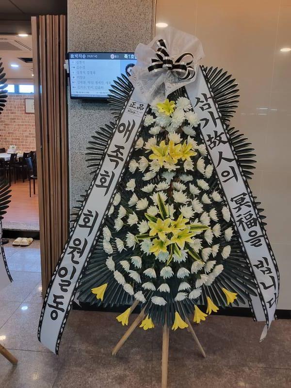 업로드 이미지