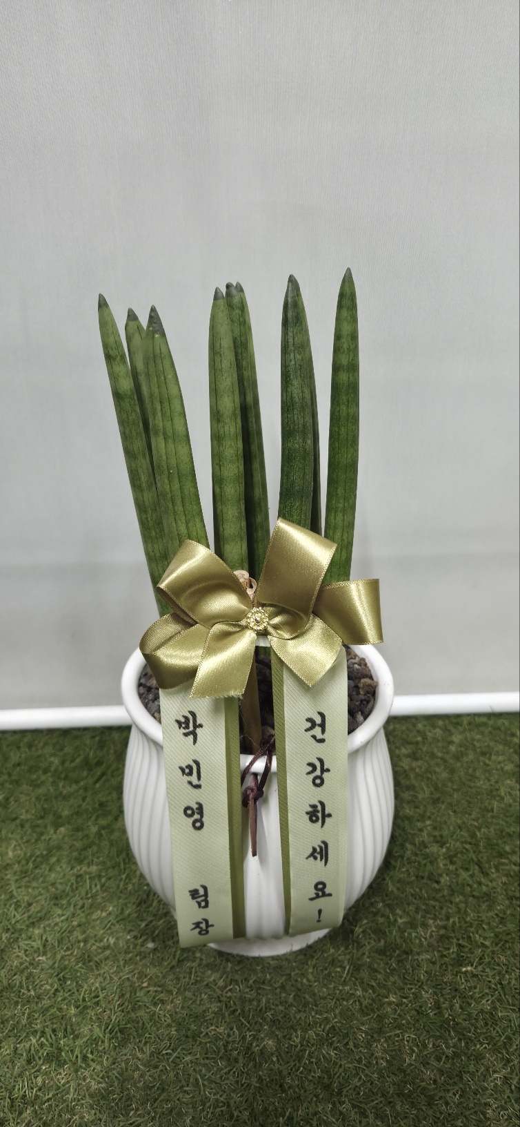 업로드 이미지