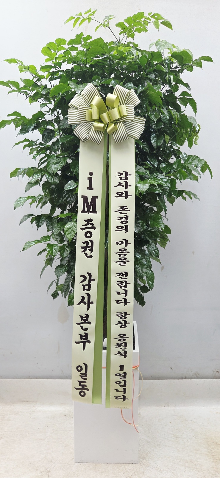 업로드 이미지