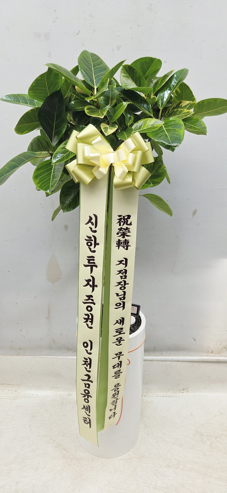 업로드 이미지