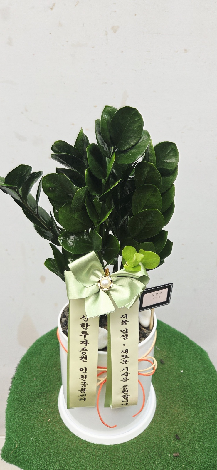 업로드 이미지
