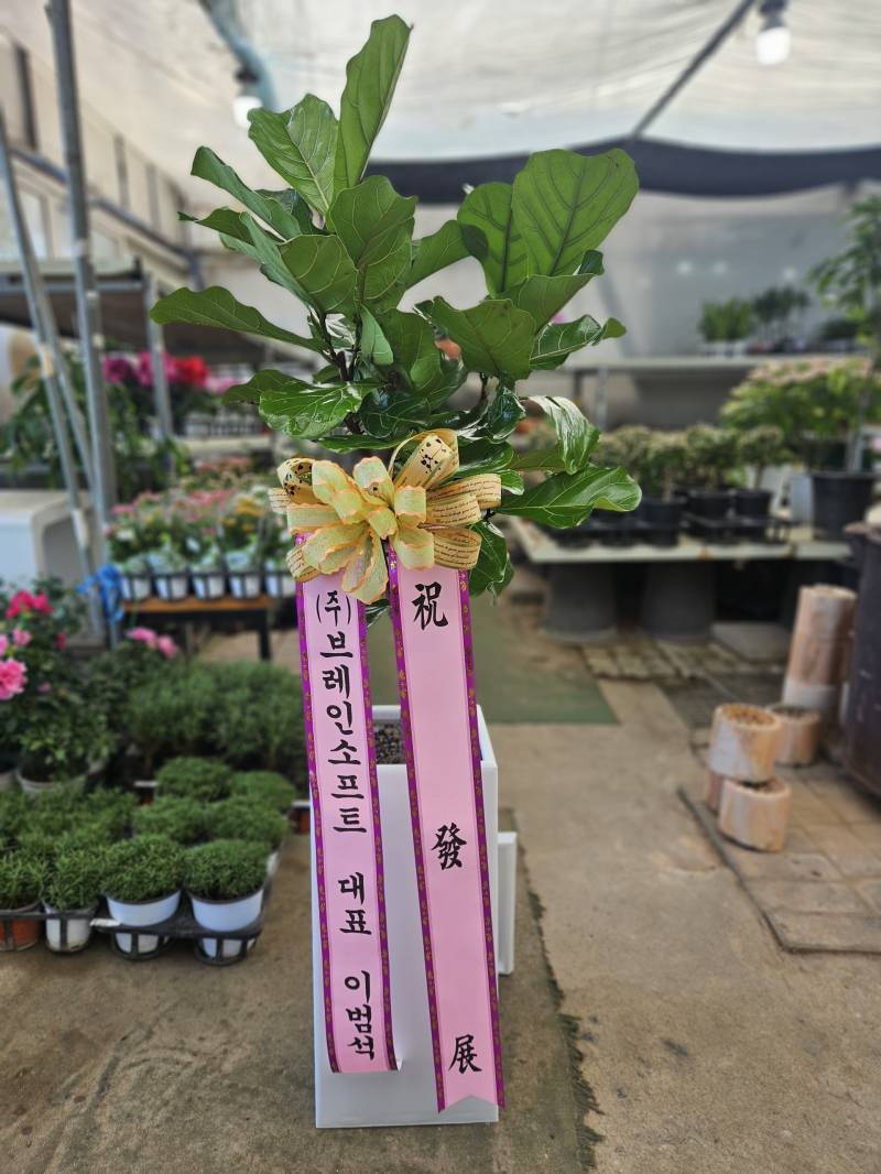 업로드 이미지