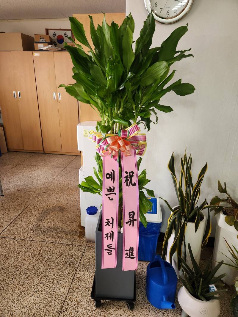 업로드 이미지