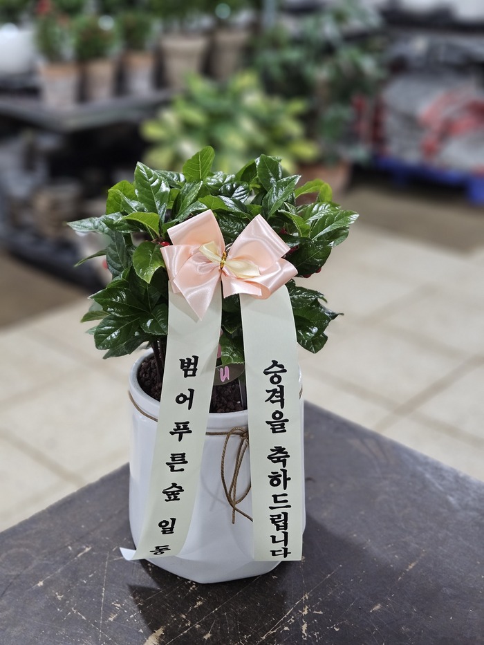 배송사진