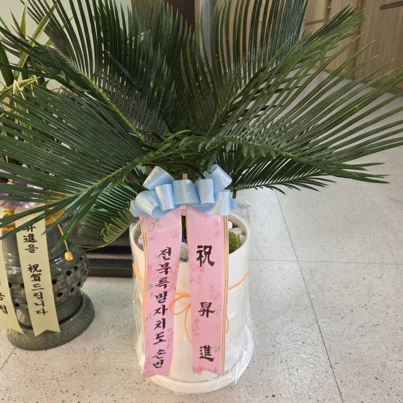 업로드 이미지
